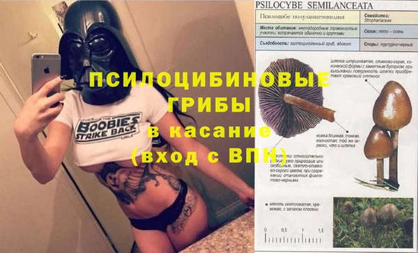 крисы Балабаново