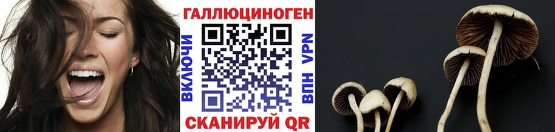 Галлюциногенные грибы GOLDEN TEACHER  Фролово 